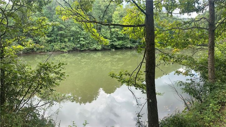 308 Old Whitestone Road  Talking Rock GA 30175 photo