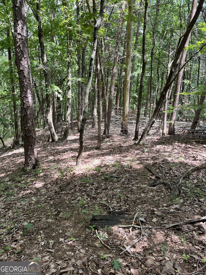 Property Photo: 0 Wauka Mountain Terrace GA 30528