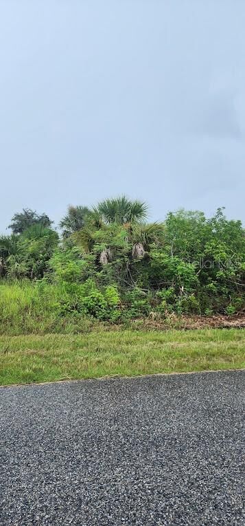 Property Photo:  8175 Clyde Circle  FL 33981 