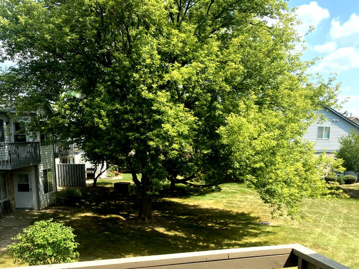 Property Photo: 230 Wethington Drive C IL 60084