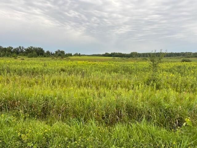 Property Photo:  23xxx Olympic Street  MN 55007 