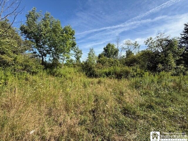 Property Photo:  W Oak Hill Road  NY 14701 