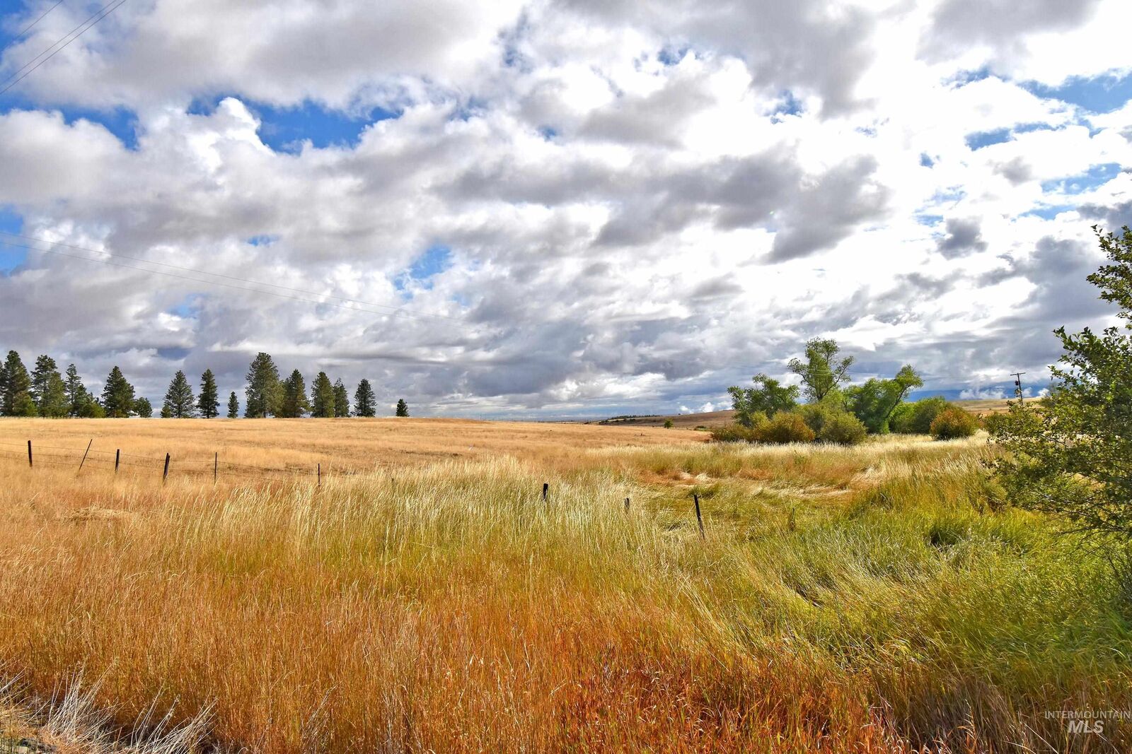 Property Photo:  Boyd Lane  WA 99401 