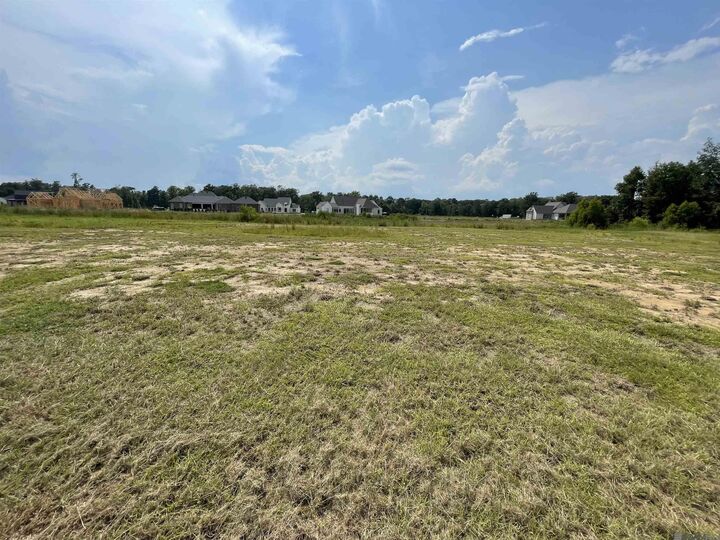 Property Photo:  16083 Leni Dr  LA 70769 