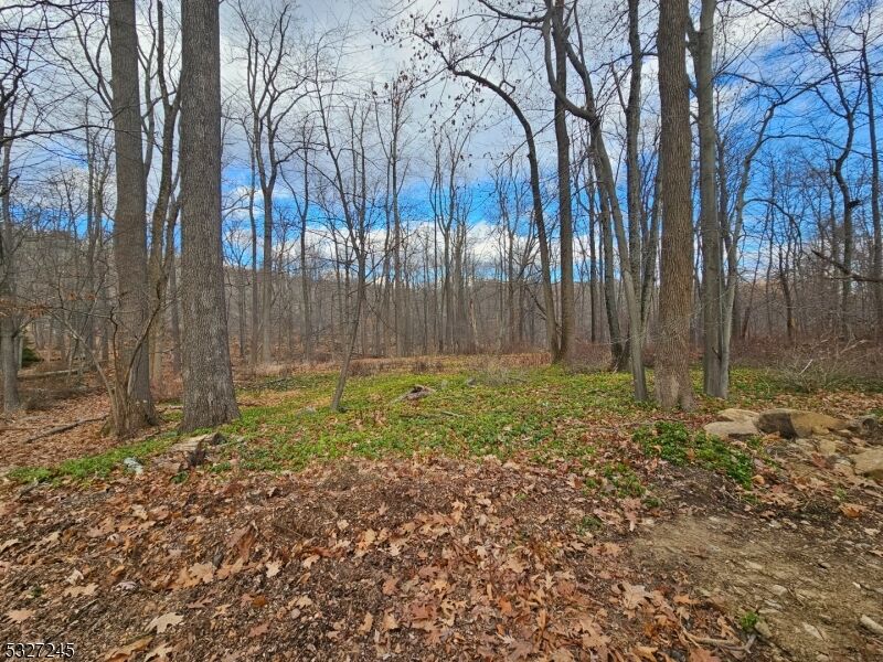 Property Photo:  34 Starlight Dr  NJ 07960 