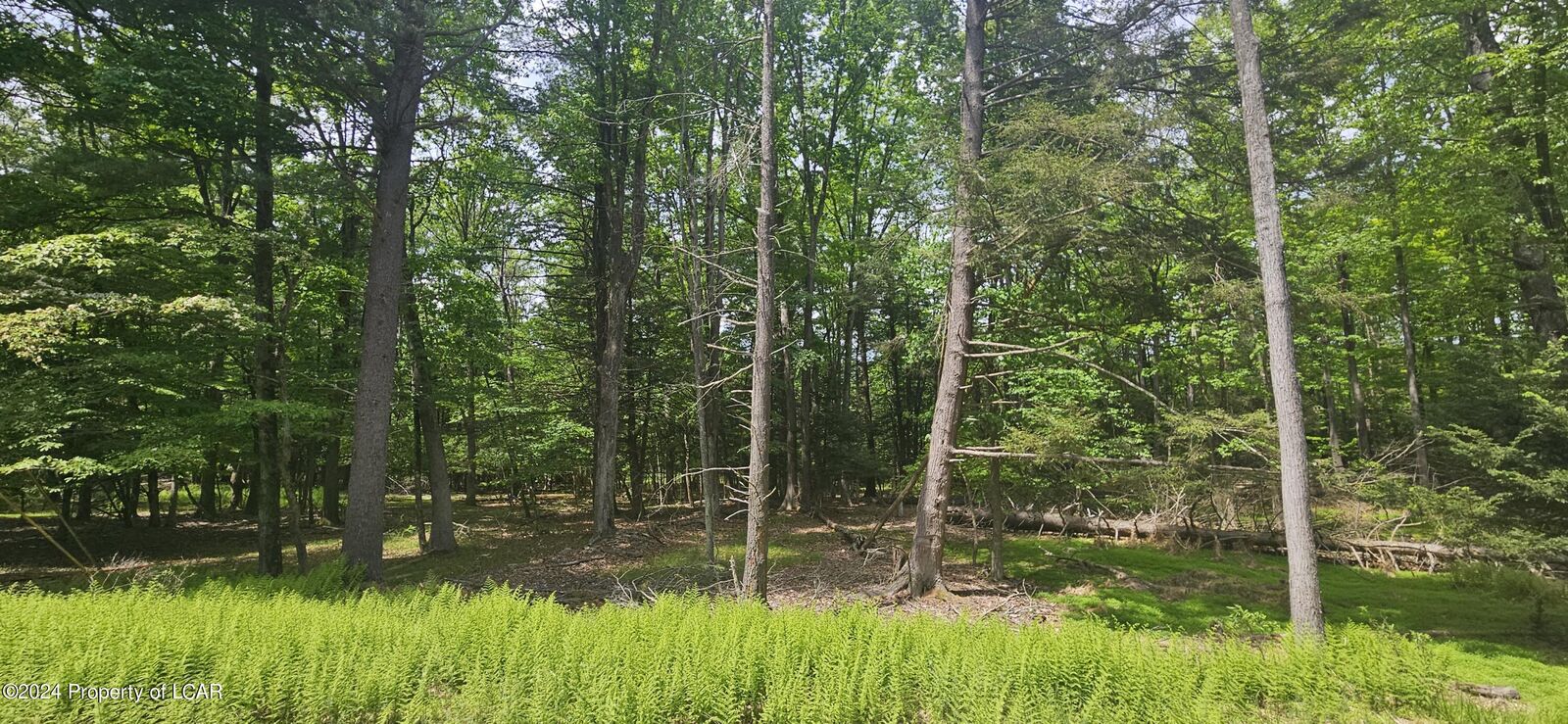 Property Photo: Ea Lot 247 Algonquin Drive PA 18202