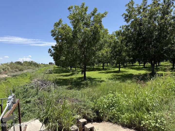 Property Photo:  340 Kili Road  NM 88024 