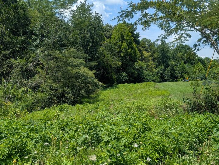 Property Photo:  0 Lake Bluff Rd  TN 38544 