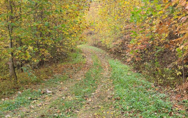 Property Photo:  14 Ac Old Burnt Mountain  GA 30540 