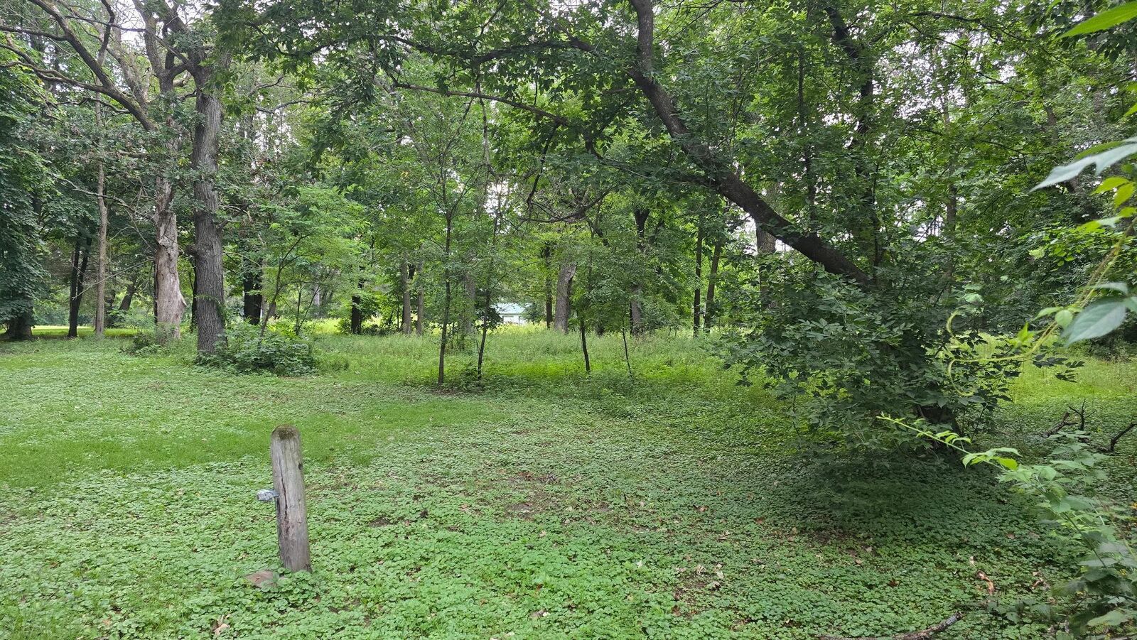 Property Photo: 8612 347th Street MN 55079