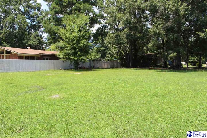 Property Photo: Lot 23 King St. SC 29512-9998