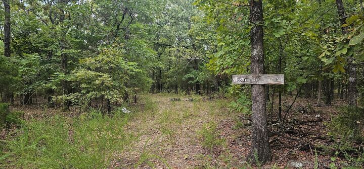 0000 E 994 Road  Gore OK 74435 photo