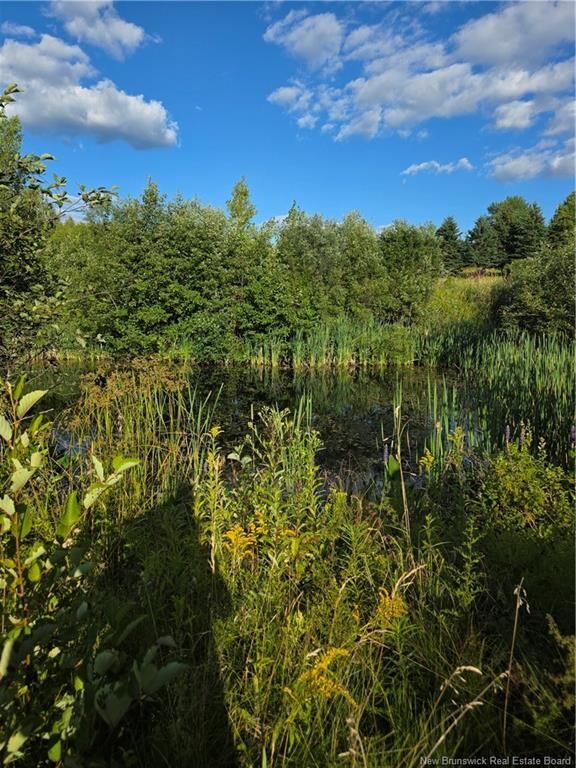 Lot Greenhill Lake Road  Nackawic NB E6E 1E9 photo