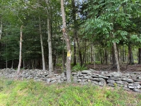 Property Photo: 113 Moore NY