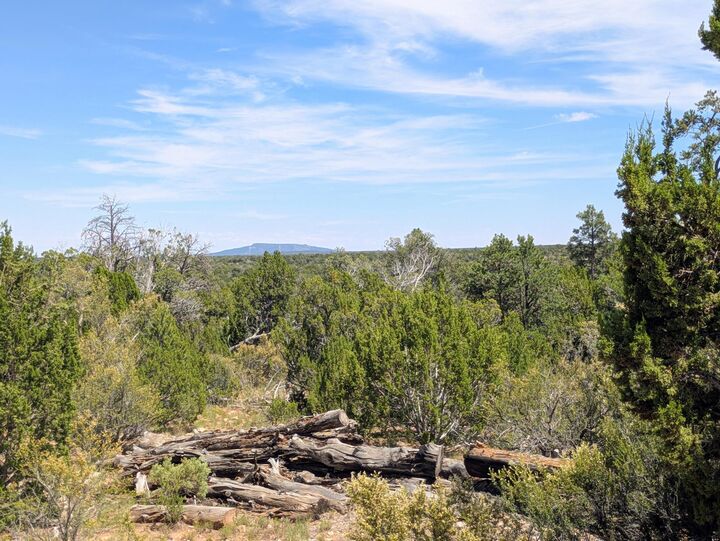 Property Photo: 3719 Meadow Wood Drive AZ 86024