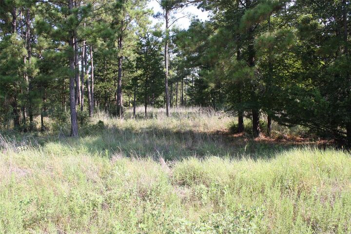 Property Photo:  Lot 3 Morris Lane  TX 77320 