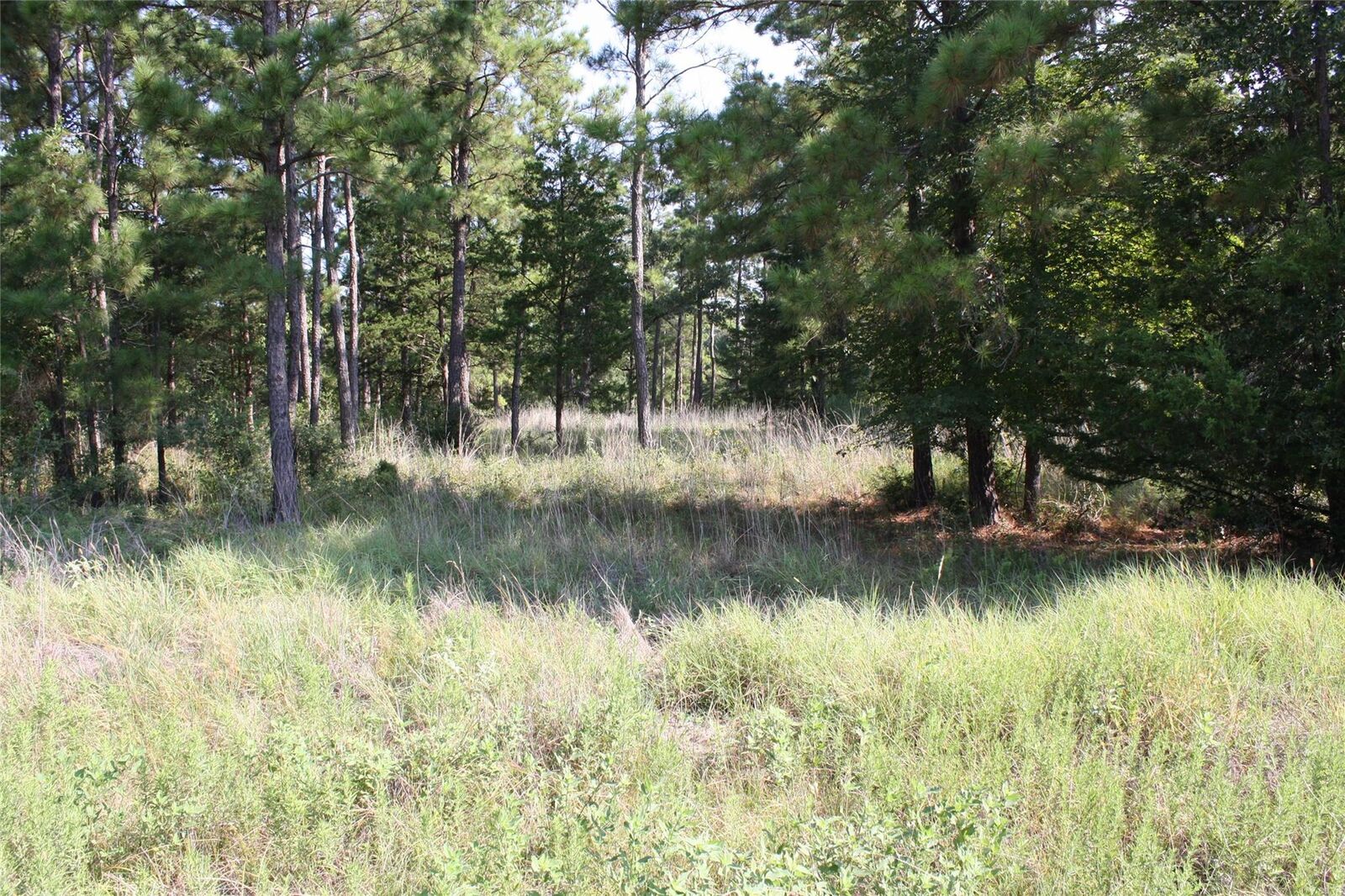 Property Photo: Lot 4 Morris Lane TX 77320