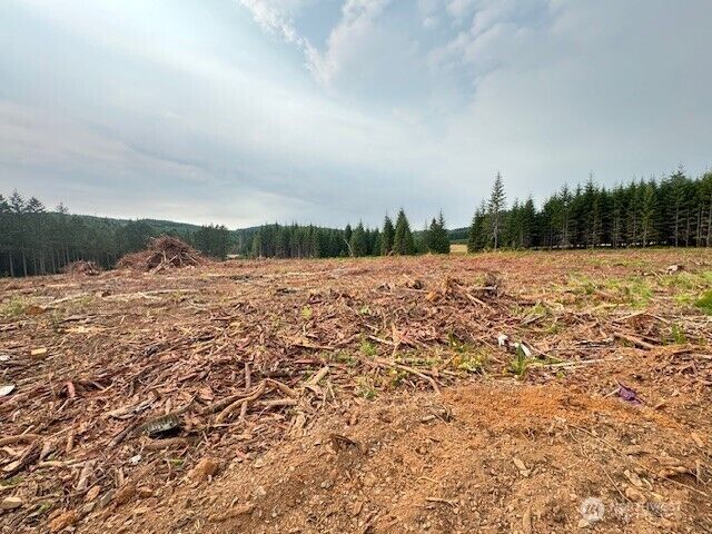 Property Photo: 120 Woodberry Lane WA 98596