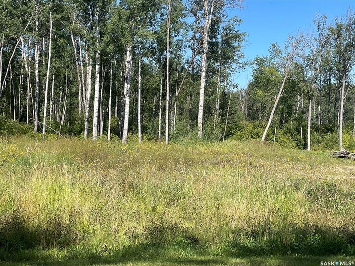 Photo de la propriété:  5 Phillips Crescent  SK S0J 0E0 