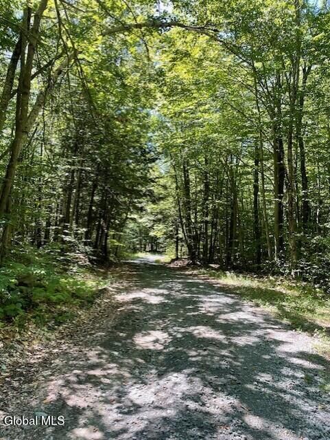 Property Photo:  L 11 Horse Hill Rd. Rear Road  NY 12134 