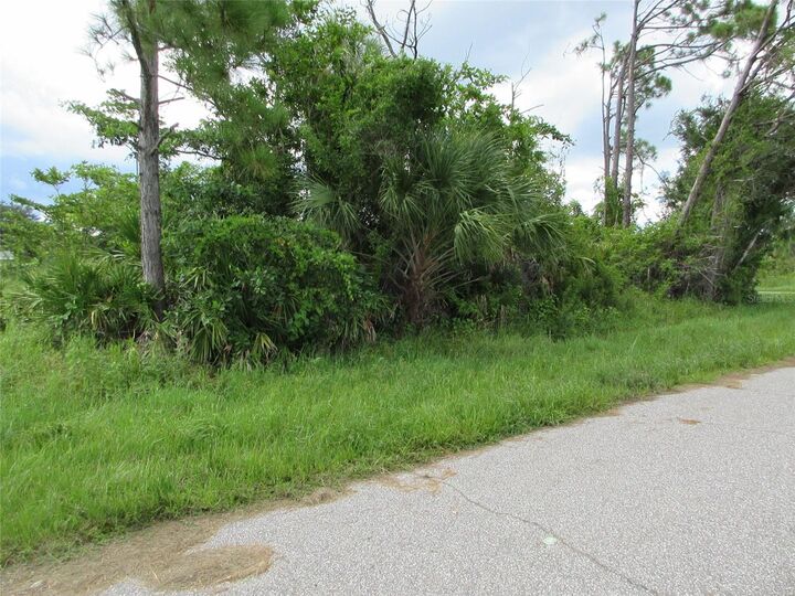 Property Photo: 12180 Shellnut Avenue FL 33981