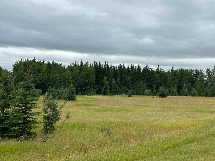 Photo de la propriété:  00000 180 Range  AB T0G 1E0 