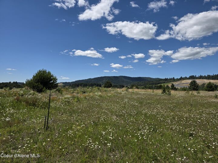 11 S Bolen St  Coeur D'Alene ID 83814 photo