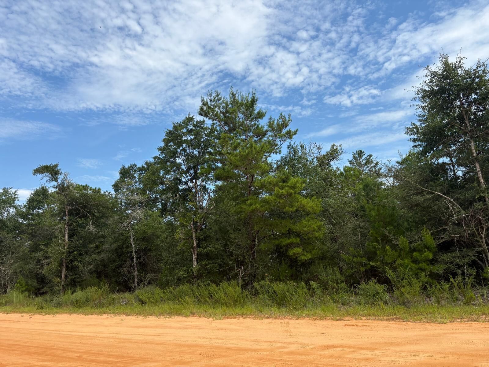 Property Photo: Lots Xxx W Royal Palm Avenue FL 32433