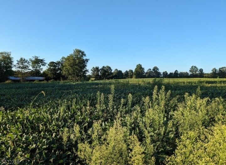 Property Photo:  554 Oak Grove Road  NJ 08825 