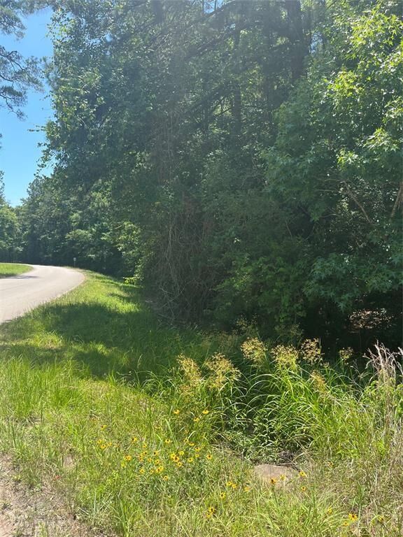 Property Photo: 00 Appian Way TX 77357