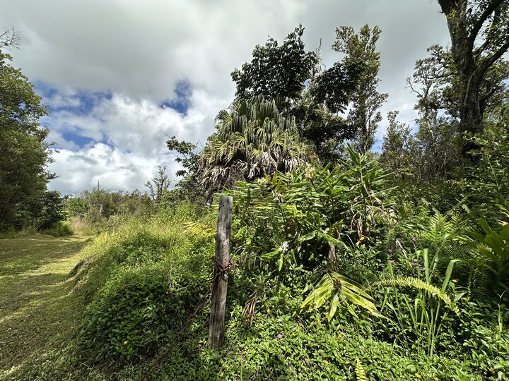 Property Photo: 11-3035 Pikake St HI 96771