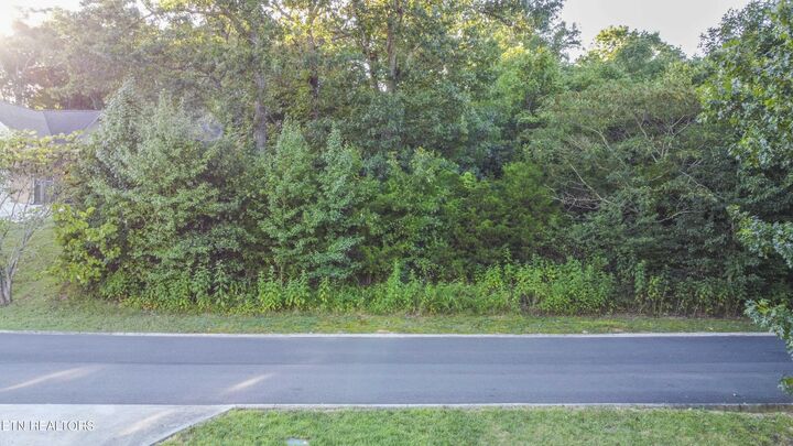 Property Photo:  Lot 60 Bradford Village Way  TN 37763 