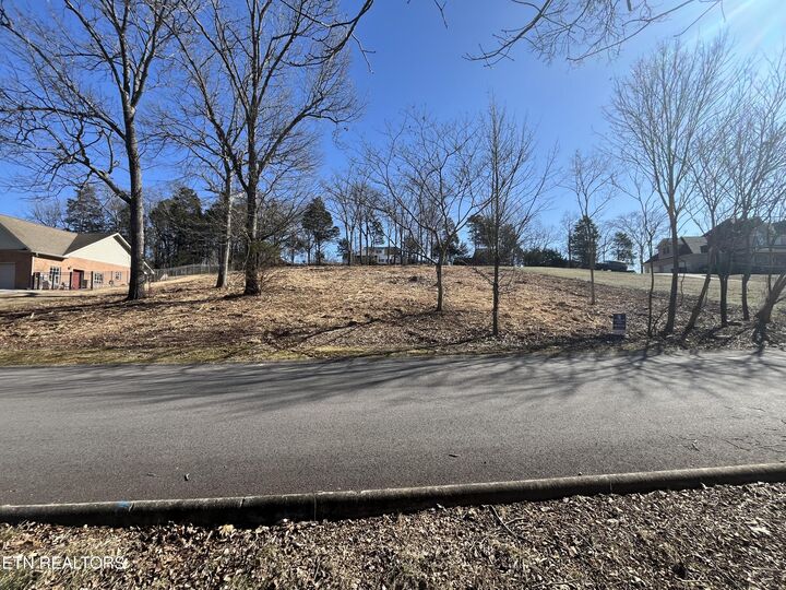 Property Photo:  Lot 60 Bradford Village Way  TN 37763 