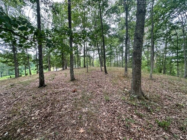 Property Photo: 0 Delaware Drive WV 25526