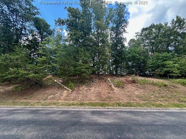Property Photo:  0 Delaware Drive  WV 25526 