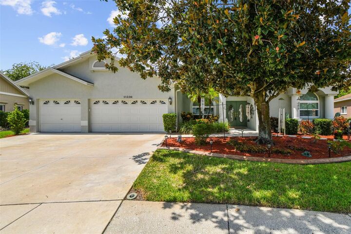 11230 Bloomington Drive  Tampa FL 33635 photo