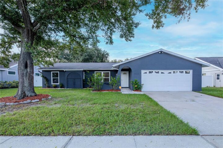 5808 Silver Moon Avenue  Tampa FL 33625 photo
