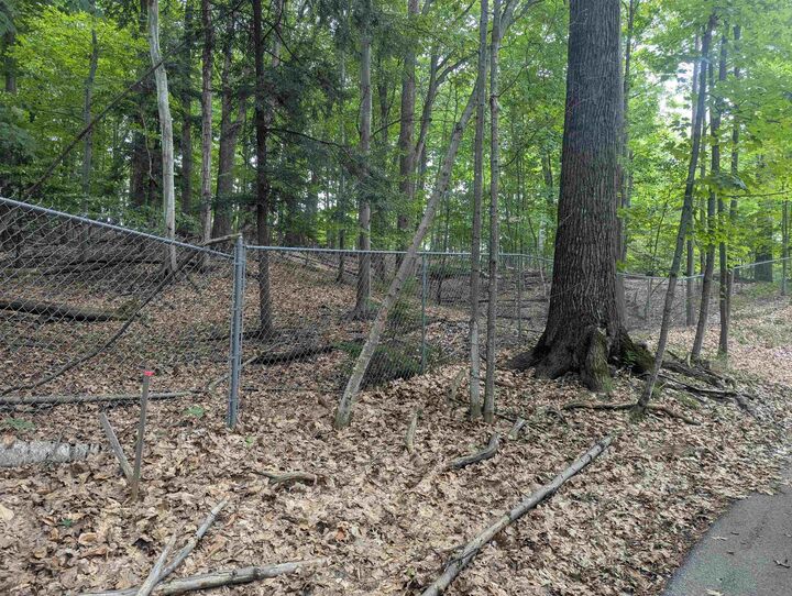 Property Photo: 000 Peninsula Ridge Drive MI 49686