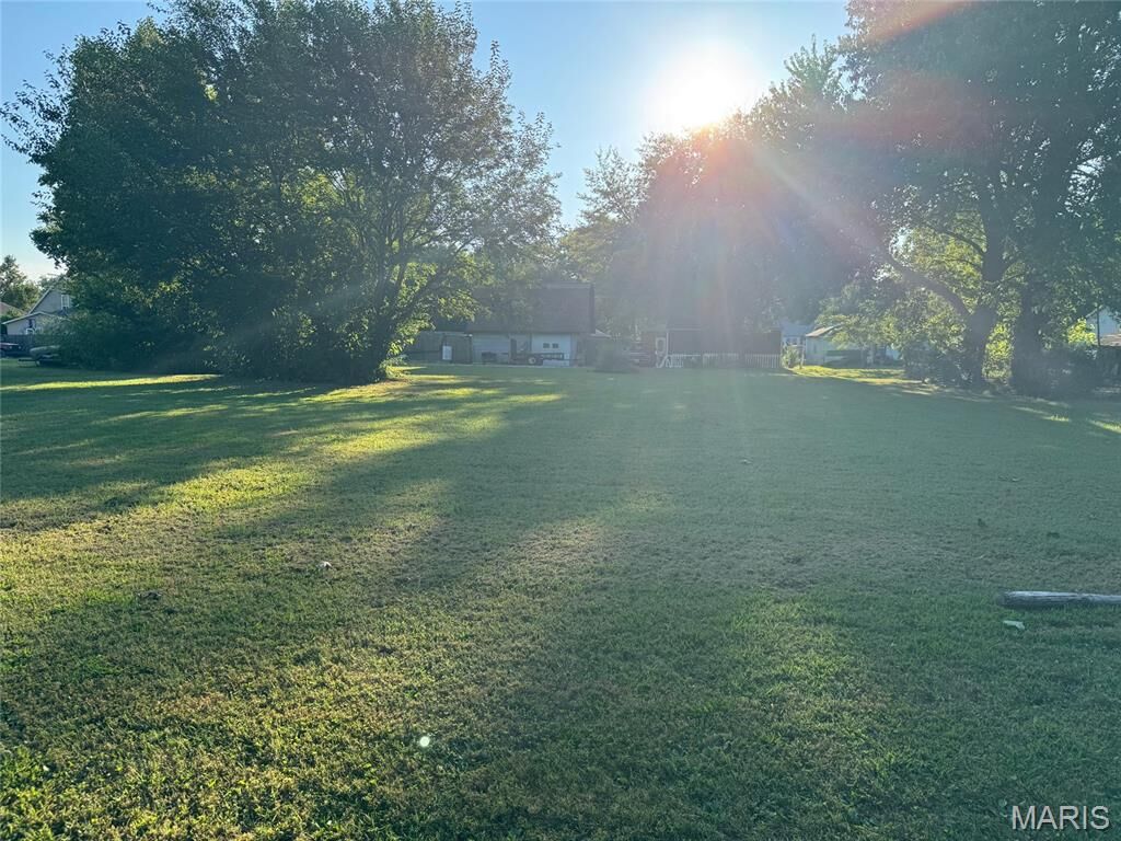 Property Photo: Tbd N Van Buren Street IL 62056