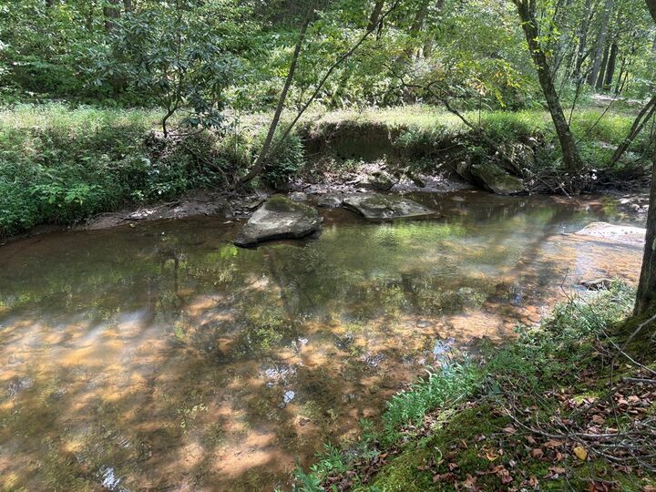 Property Photo:  141 Friendship Lane  GA 30559 