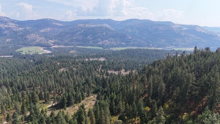 Property Photo: 137 Matsen Creek Rd WA 99141