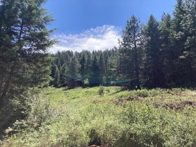 Property Photo:  137 Matsen Creek Rd  WA 99141 