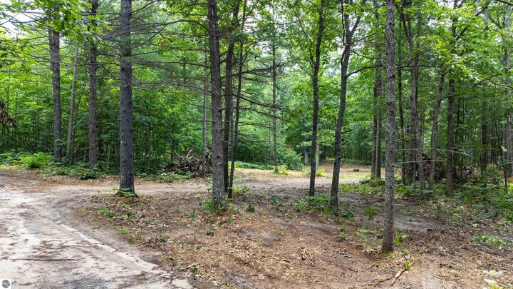 Property Photo: Parcel F Vans Lane MI 49633