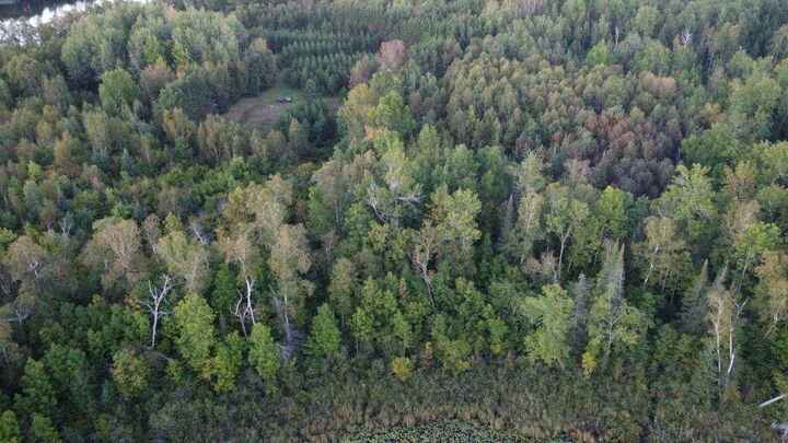 Property Photo: Parcel B E Gunn Lake Trail MN 56657