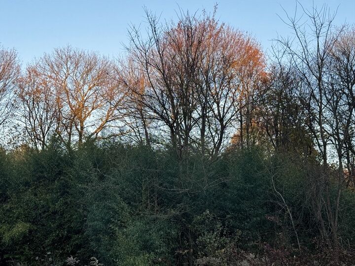 Property Photo: Lot 8 Lawler Ln MA 02072