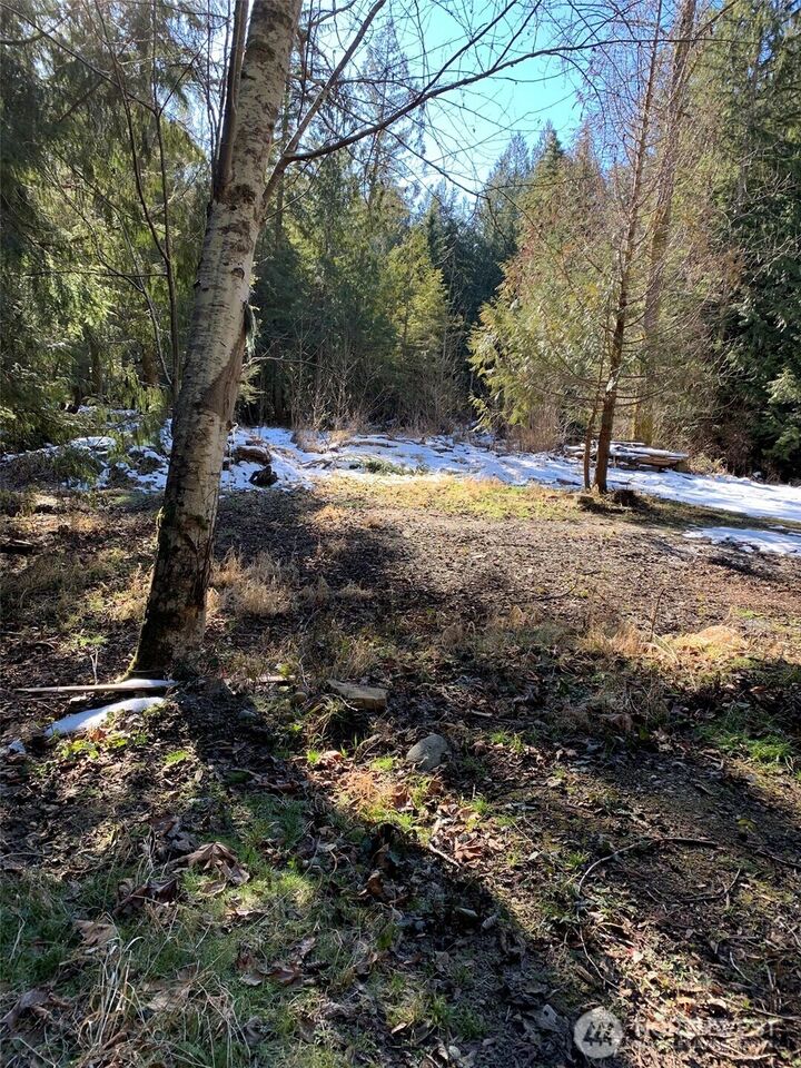 47 Xx  250th Avenue SE  Issaquah WA 98029 photo