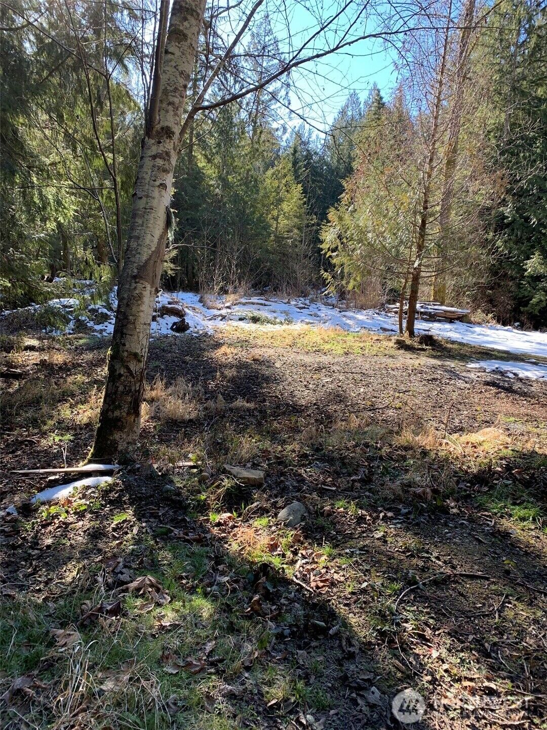Property Photo: 47 Xx 250th Avenue SE WA 98029