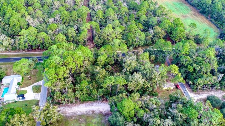 Property Photo: 000 Hwy 40 Highway FL 34498