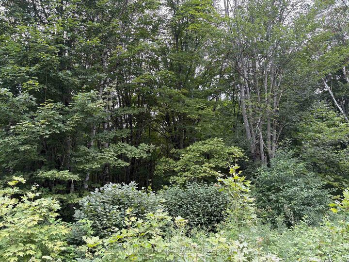 Property Photo:  0 Hemlock Road  ON P0H 2L0 