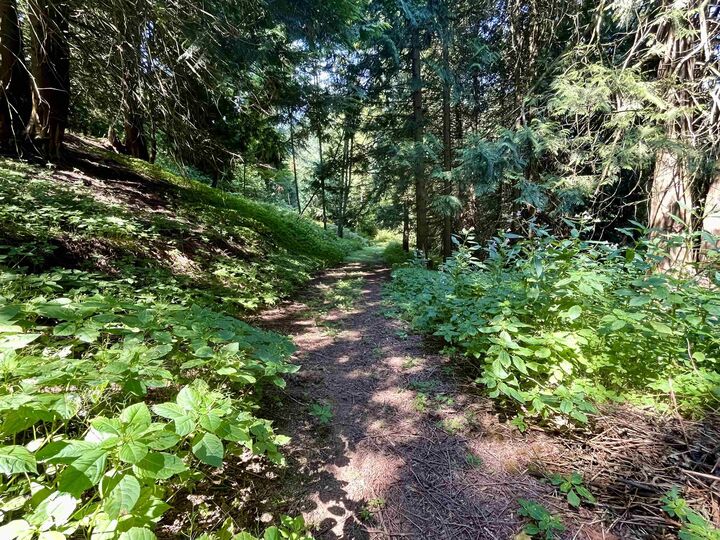 Property Photo: 6080 Ross Road BC V2R 4S6